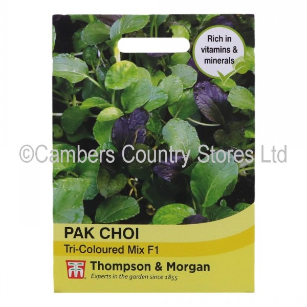 Thompson Morgan Pak Choi Tri Colour Mix F Cambers Country Store